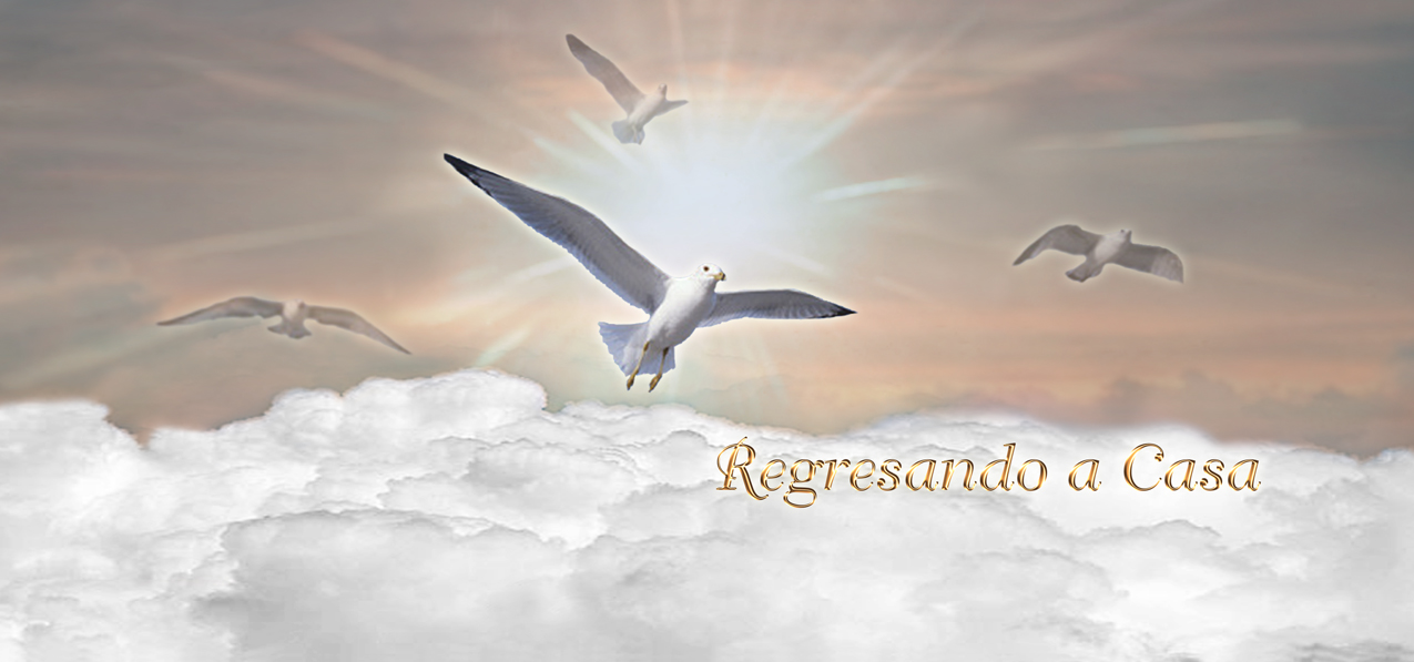 Regresando a Casa Birds Bronze